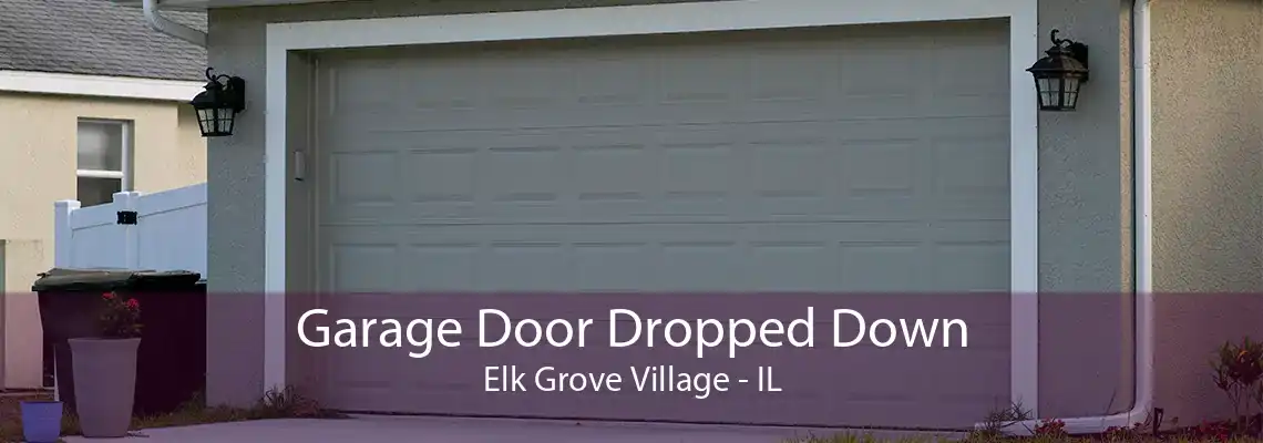 Garage Door Dropped Down Elk Grove Village - IL