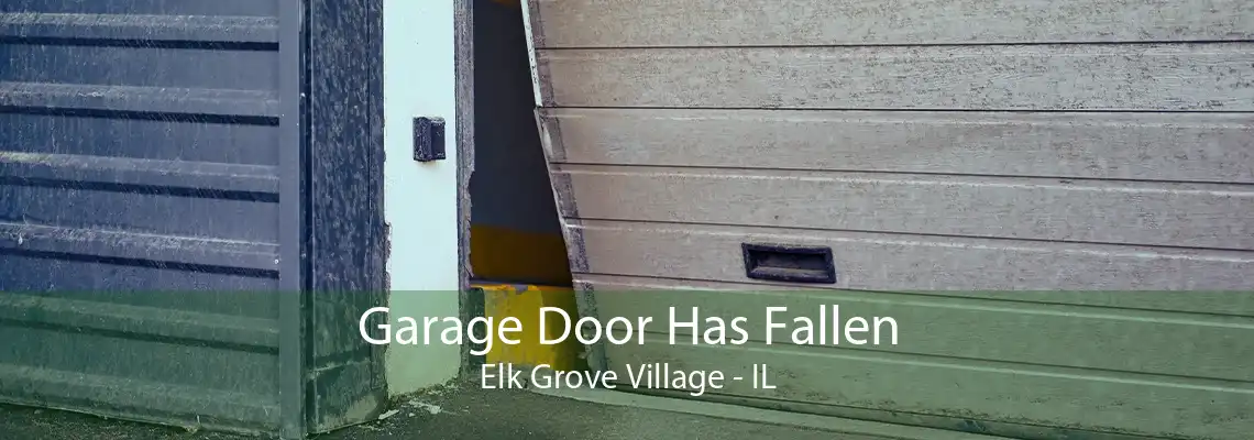 Garage Door Has Fallen Elk Grove Village - IL