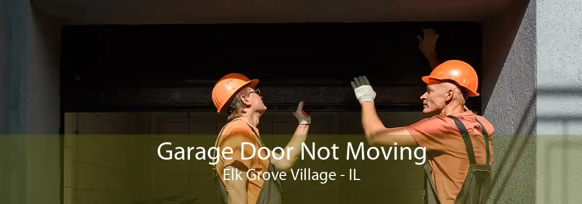 Garage Door Not Moving Elk Grove Village - IL