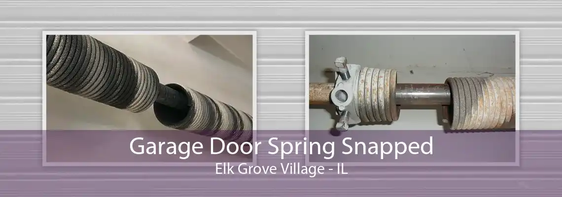 Garage Door Spring Snapped Elk Grove Village - IL