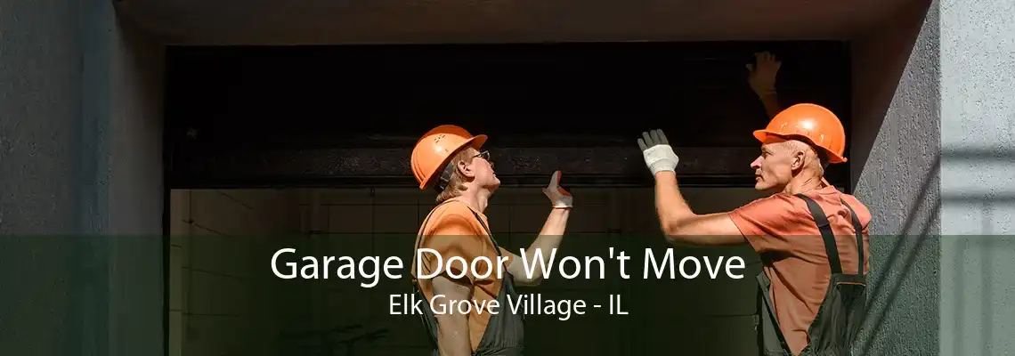 Garage Door Won't Move Elk Grove Village - IL